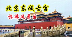 欧美操逼免费播放中国北京-东城古宫旅游风景区